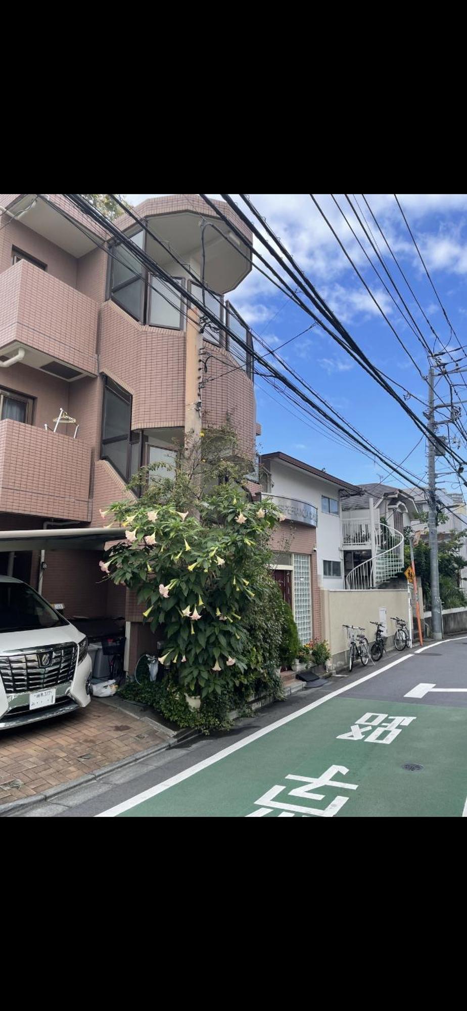 טוקיו 新宿安靜の家-A Quiet Home In Shinjuku - A 26 Square Meter Double Bed Room That Feels Like Home מראה חיצוני תמונה