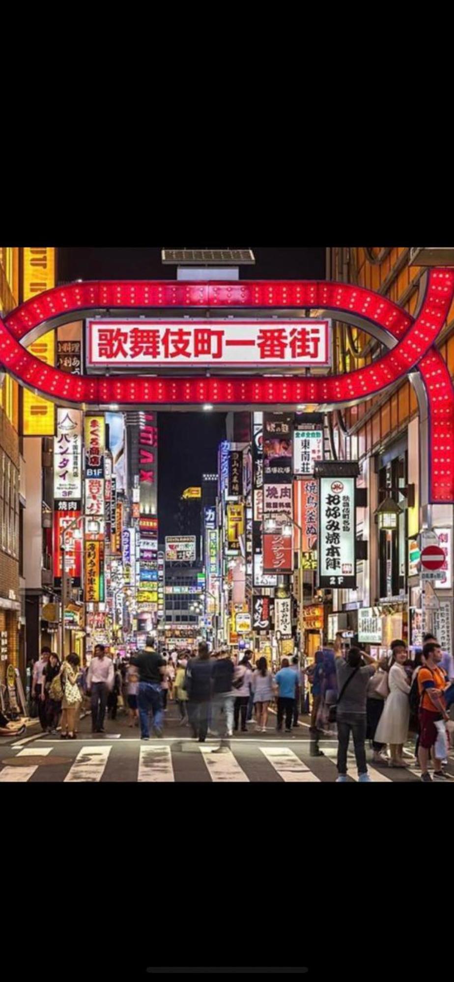 טוקיו 新宿安靜の家-A Quiet Home In Shinjuku - A 26 Square Meter Double Bed Room That Feels Like Home מראה חיצוני תמונה